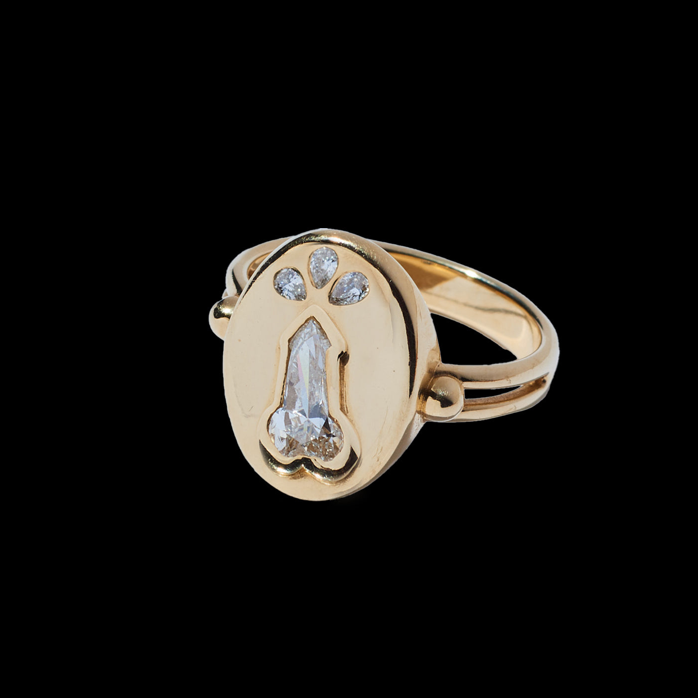 The Money Shot signet ring